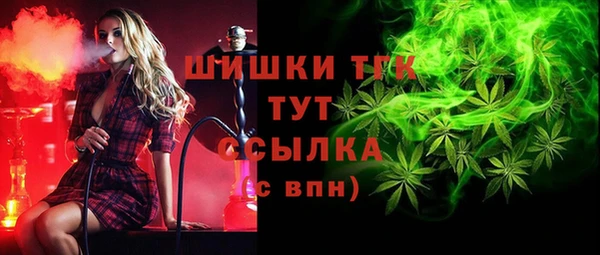 тгк Бородино