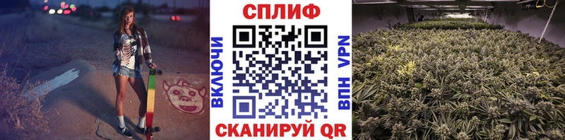 дарнет шоп  Северодвинск  Бошки марихуана тримм 